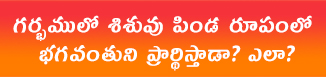 గర్భములో శిశువు పిండ రూపంలో భగవంతుని ప్రార్థిస్తాడా? ఎలా?